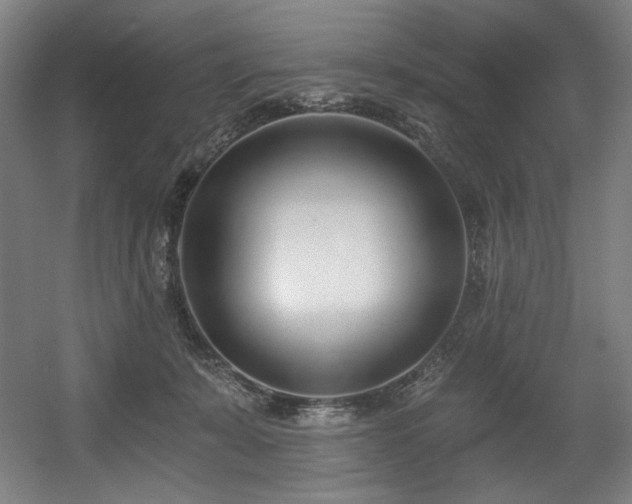 X0000056360319200508291351