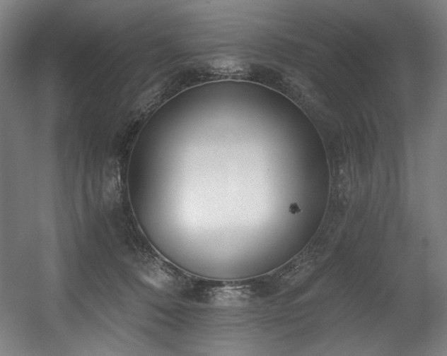 X0000056360320200508291351