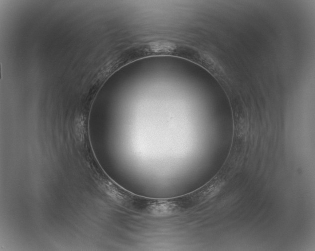 X0000056360321200508291351