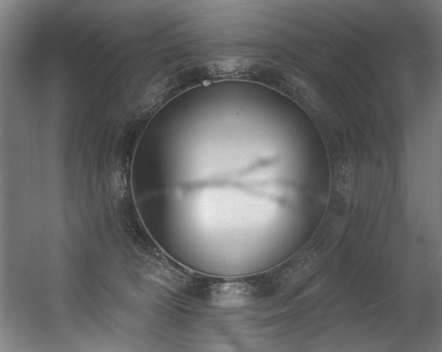 X0000056360324200508291351