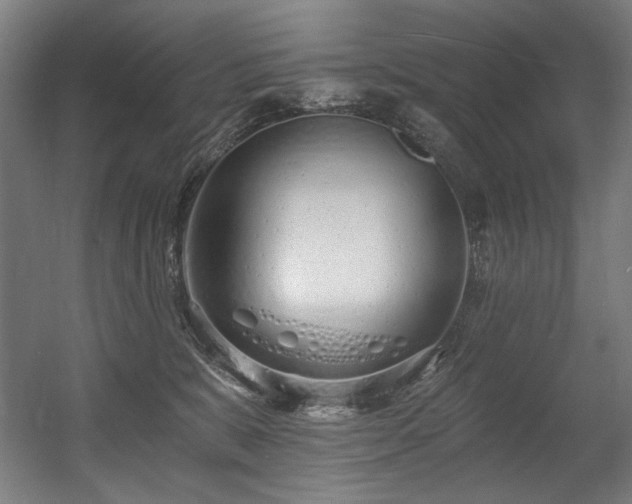 X0000056360327200508291351