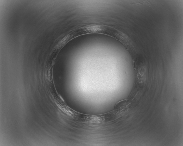 X0000056360330200508291351