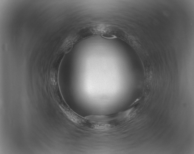 X0000056360331200508291351