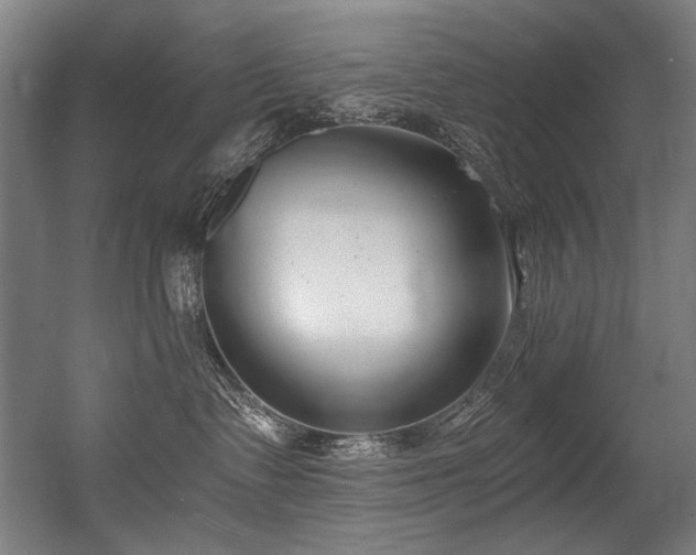 X0000056360335200508291351