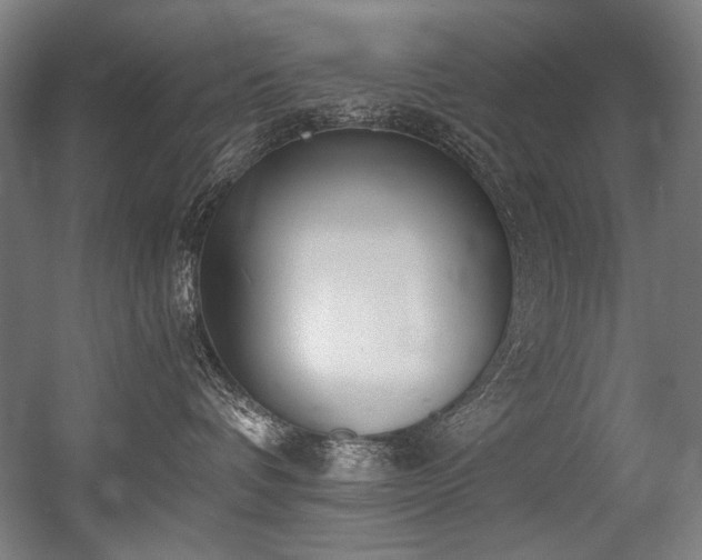 X0000056360336200508291351