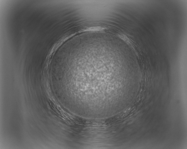 X0000056360337200508291350