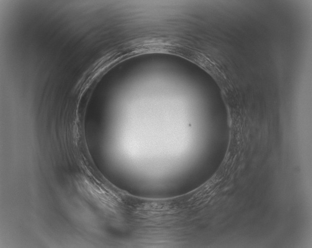 X0000056360338200508291350