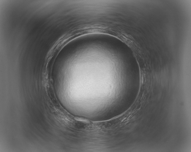 X0000056360339200508291350