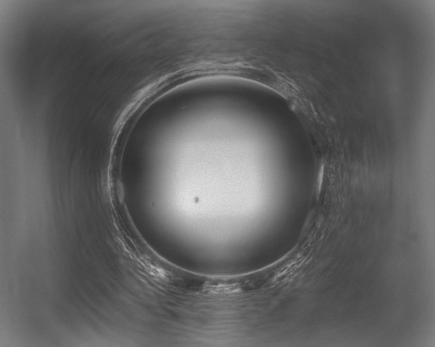 X0000056360340200508291350