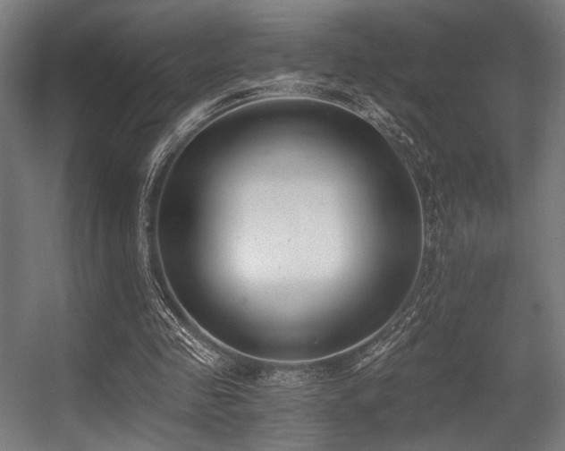 X0000056360341200508291350