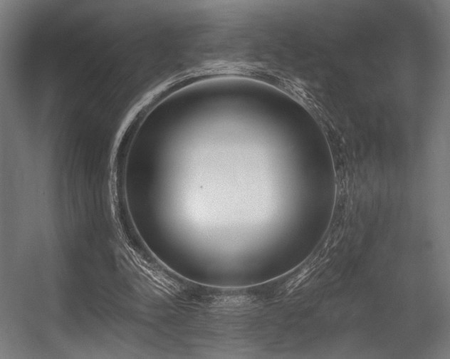 X0000056360342200508291350