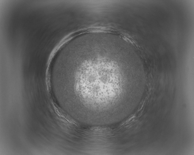 X0000056360343200508291350