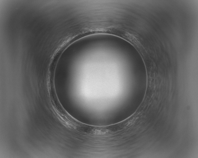 X0000056360346200508291350