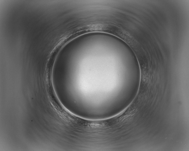 X0000056360347200508291350