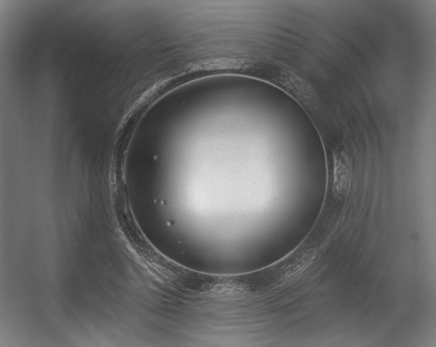 X0000056360348200508291350