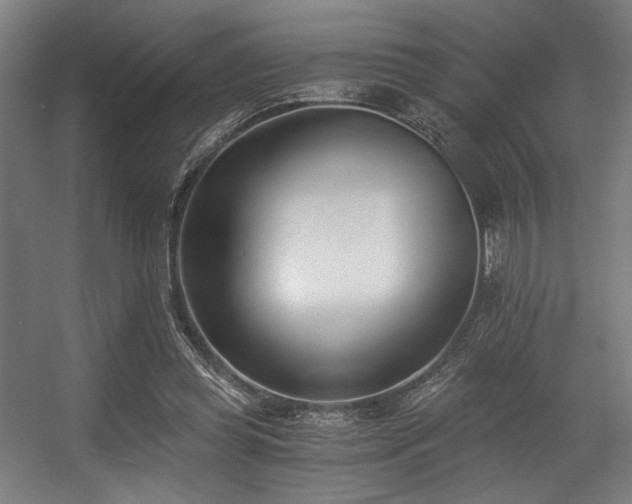 X0000056360349200508291350