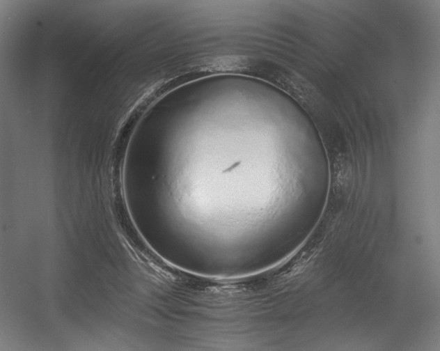 X0000056360351200508291350