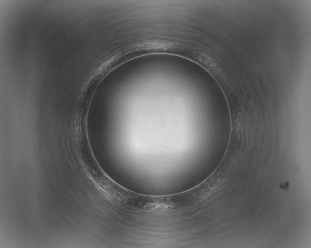 X0000056360352200508291350