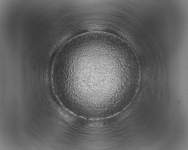 X0000056360353200508291350