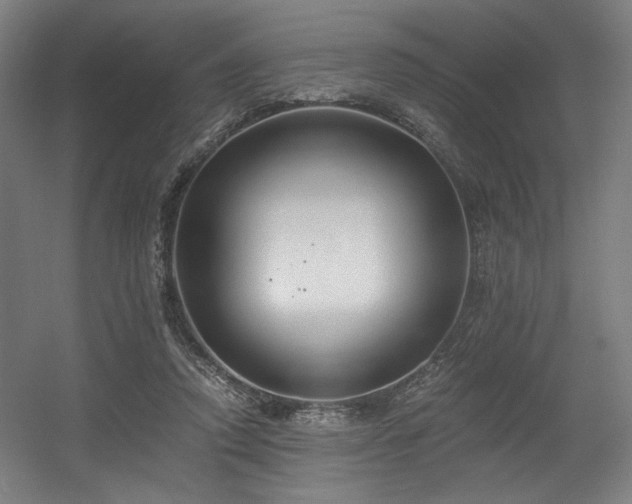 X0000056360354200508291350