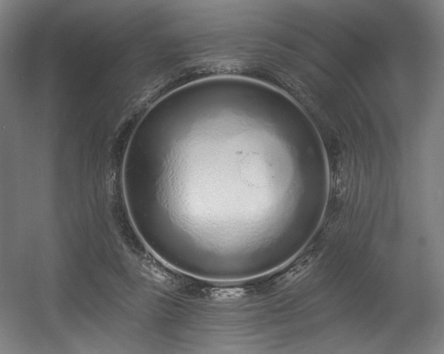 X0000056360355200508291350