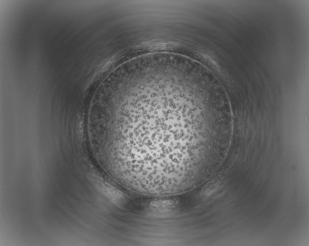 X0000056360357200508291350