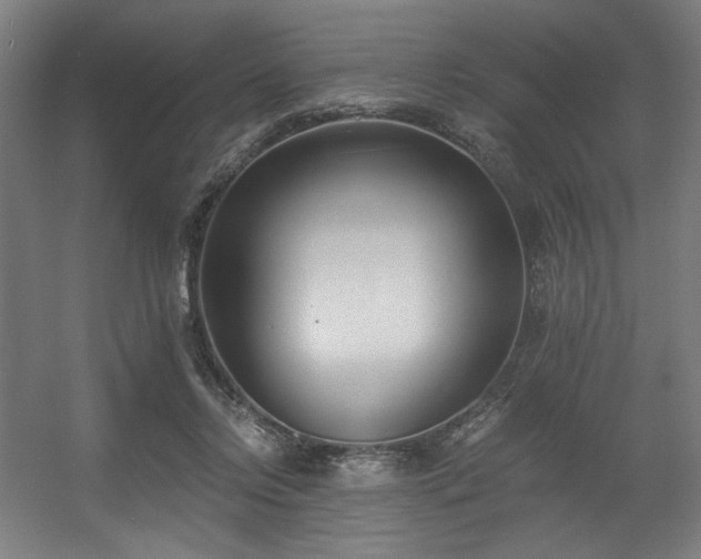 X0000056360358200508291350