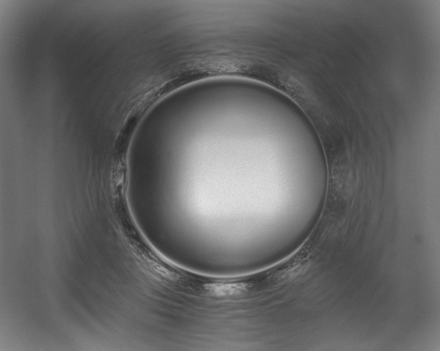 X0000056360359200508291350