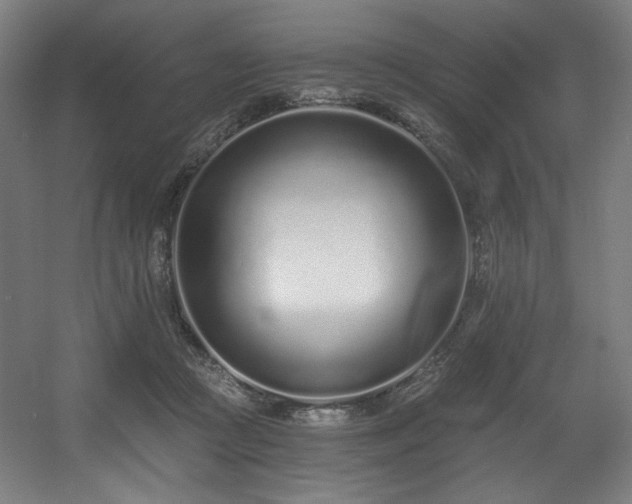 X0000056360361200508291350