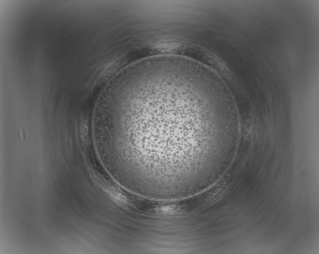X0000056360365200508291350