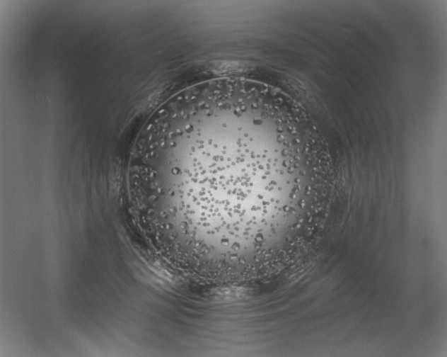 X0000056360367200508291350