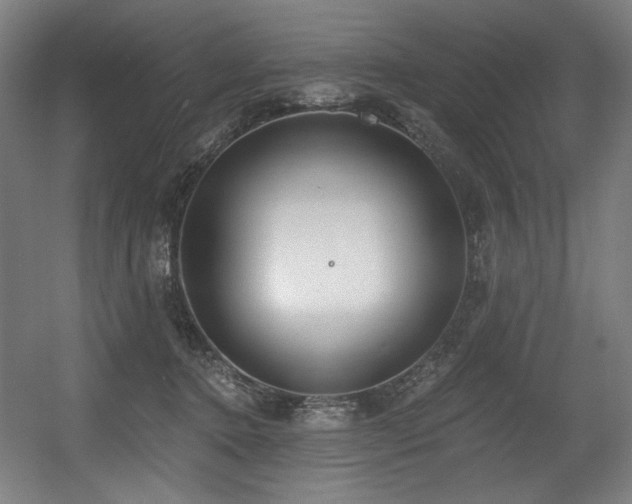 X0000056360368200508291350