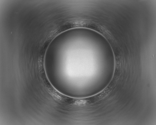 X0000056360369200508291350