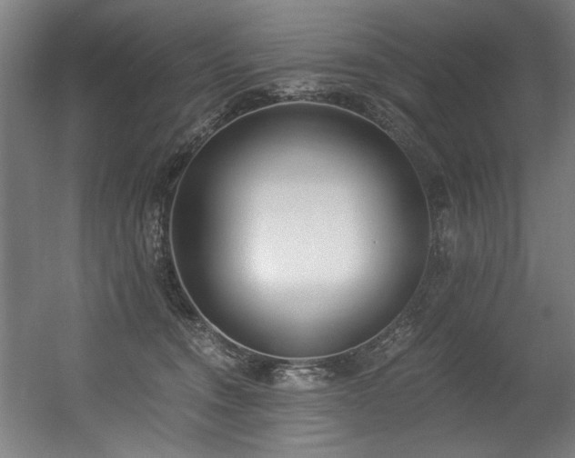 X0000056360372200508291350