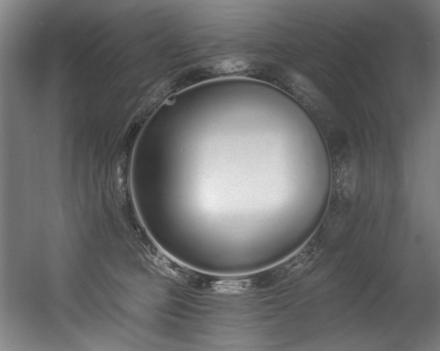 X0000056360373200508291350