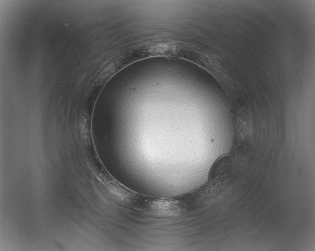 X0000056360375200508291350