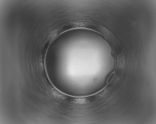 X0000056360377200508291351