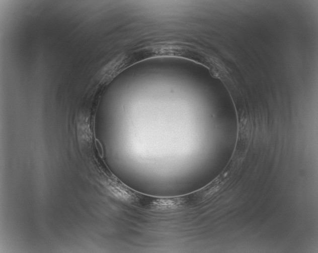 X0000056360381200508291351