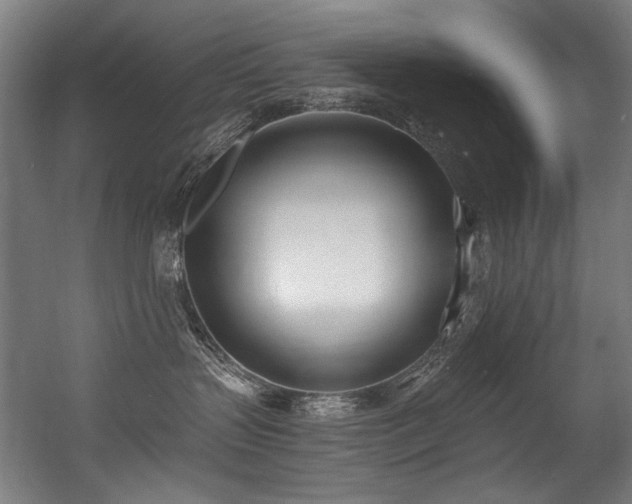 X0000056360383200508291351