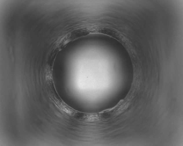 X0000056360384200508291351