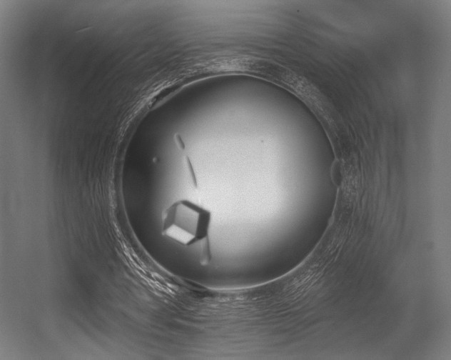 X0000056360386200508291350