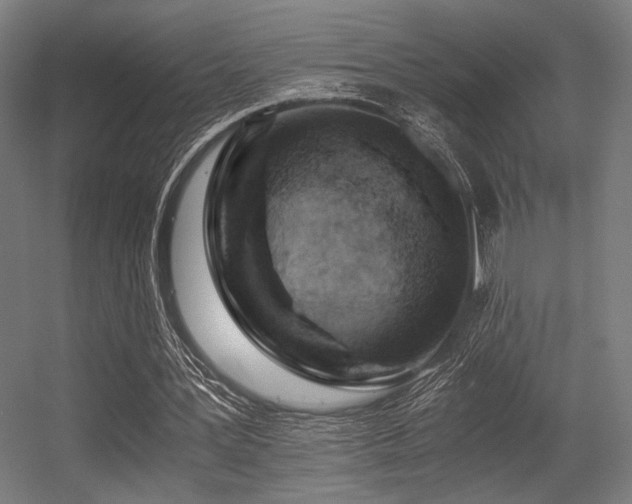 X0000056360387200508291350