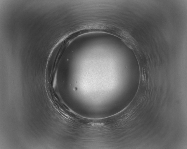 X0000056360388200508291350