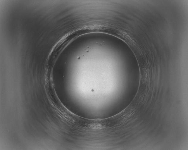 X0000056360392200508291350