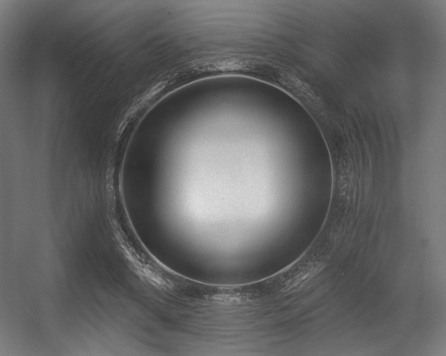 X0000056360394200508291350