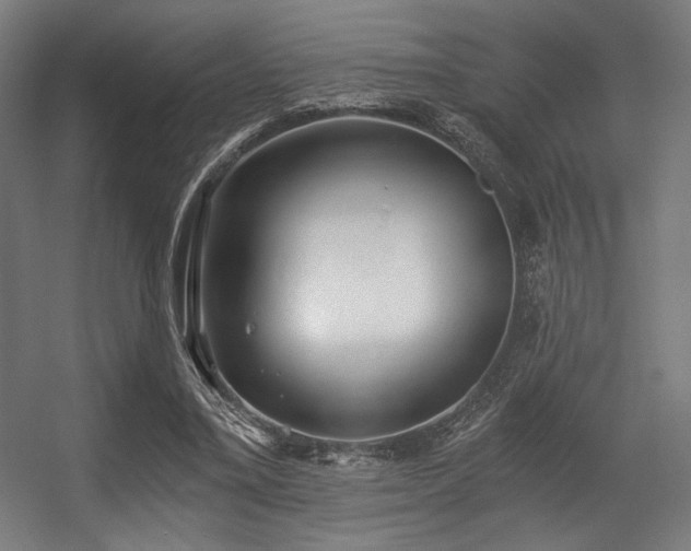 X0000056360395200508291350