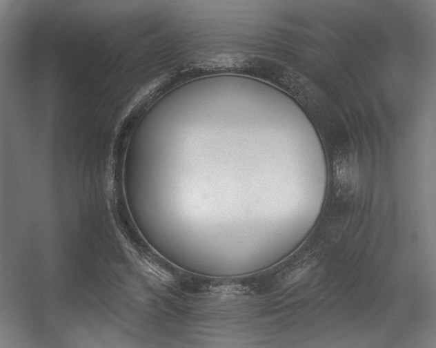 X0000056360396200508291350