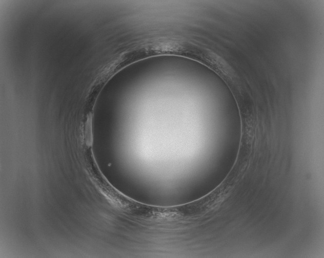 X0000056360401200508291350