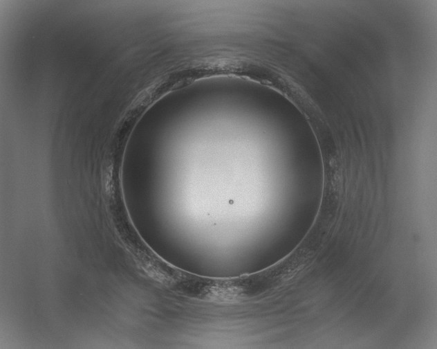 X0000056360403200508291350