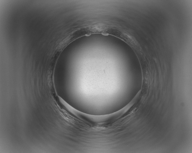 X0000056360409200508291349